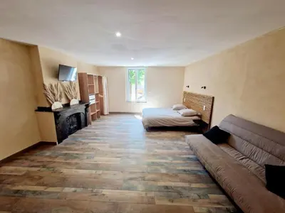 a living room with a couch and a bed and a fireplace at Appart Hôtel Du Grand Soleil in Saint-Chinian