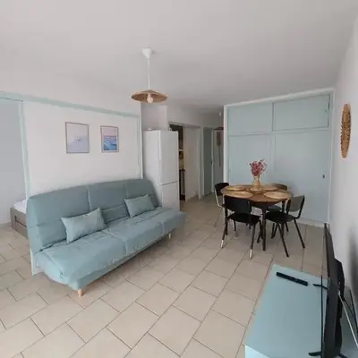 Plage des Chalets appartement T2+terrasse