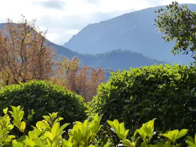 a group of bushes with mountains in the background at Mountain Retreat w Terrace in Quillan