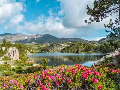 a view of a lake with flowers at Scenic Retreat w Terrace in Quillan