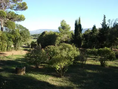 a garden with trees and bushes in a field at Marsanne cottage for 2 and 2 people in the heart of the vineyard in Badens
