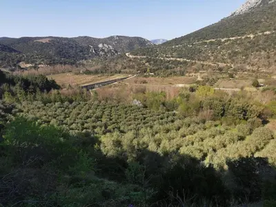 an aerial view of a forest with a train in the distance at Le dôme géodésique in Ansignan