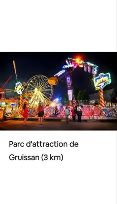 a ferris wheel at a carnival at night at Le Rubis in Gruissan