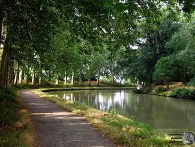 a winding road next to a river with trees at Escale à Castelnaudary in Castelnaudary