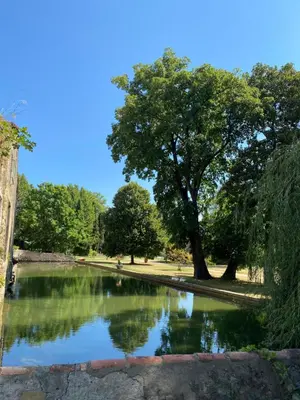 a pond in a park with a tree in the background at Terrasse avec vue Domaine Viticole in Sallèles-dʼAude