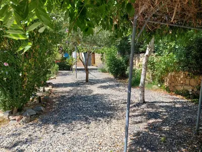 a row of trees in a garden at Chambre d'hôte Les maisons de Gaia in Tuchan