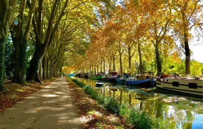 a tree lined canal with boats on the water at Nice Home In Saint-Laurent-De-La-Ca With Wifi in Saint-Laurent-de-la-Cabrerisse