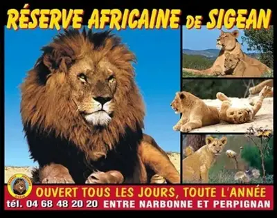 a poster for the movie preserve articulation of a lion at Escapade cœur de ville Narbonne in Narbonne