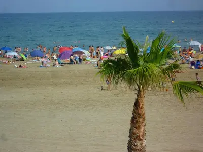 a palm tree on a beach with a crowd of people at Agréable T2 pour 5 pers, 1er étage, climatisé, parking sécurisé - FR-1-797-6 in Port-la-Nouvelle