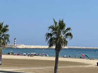 a palm tree on a beach with a lighthouse at T2 Climatisé, 5 pers, Parking Protégé, Front de mer - FR-1-797-38 in Port-la-Nouvelle