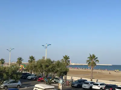 a parking lot next to a beach with palm trees and cars at T2 Climatisé, 5 pers, Parking Protégé, Front de mer - FR-1-797-38 in Port-la-Nouvelle