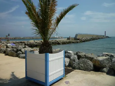 a palm tree in a blue and white planter on the beach at T2 en bord de mer pour 4 pers, RDC avec Parking - FR-1-797-39 in Port-la-Nouvelle