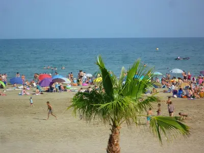 a crowd of people on a beach with a palm tree at T3 spacieux climatisé - 5 pers - près plage, centre & animations - Parking privé - FR-1-797-22 in Port-la-Nouvelle