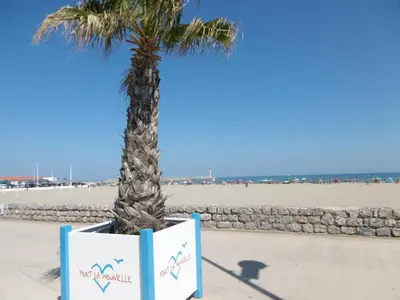 a palm tree in a box next to a beach at Villa T2 cosy, 40m², 4 pers, proche plage, 2 terrasses, tout équipé, calme et commerces à proximité - FR-1-797-53 in Port-la-Nouvelle