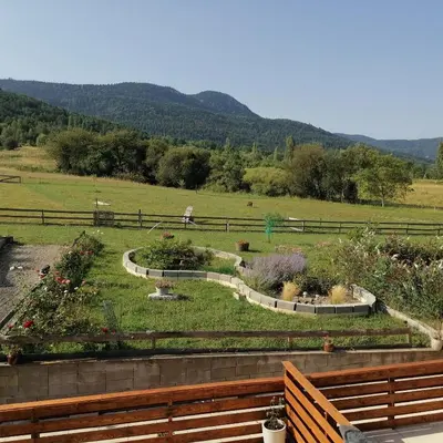 a view of a garden with flowers in a field at Chalet 