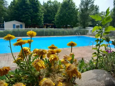 a bunch of flowers in front of a pool at Mobil-home Riviera in Vaudreuille