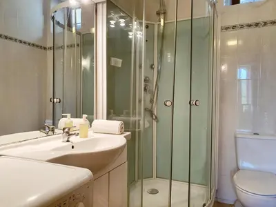 a bathroom with a shower and a sink and a toilet at La Roche 10 in Aigues-Vives