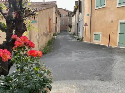 an empty street with red flowers in an alley at Modern apartment large terrace and beautiful view in Quarante