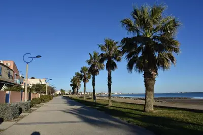a street with palm trees on the beach at Villa avec terrasse et garage proche plage GA120-038 in Gruissan