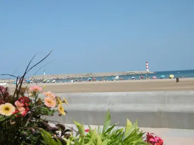 a view of a beach with a retaining wall and flowers at Charmant T2 pour 4 pers à 100m de la plage avec balcon - FR-1-797-61 in Port-la-Nouvelle