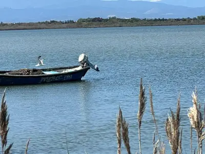 a bird is standing on a boat in the water at Élégant studio avec jacuzzi in Saint-Paul-de-Fenouillet