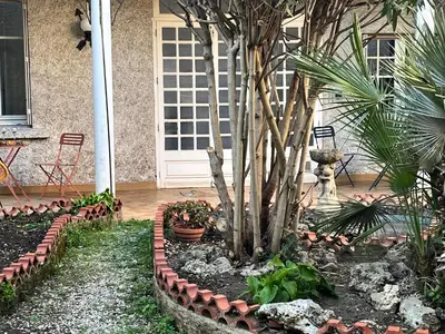 a garden with a palm tree and some plants at Aux 138 bis in Carcassonne