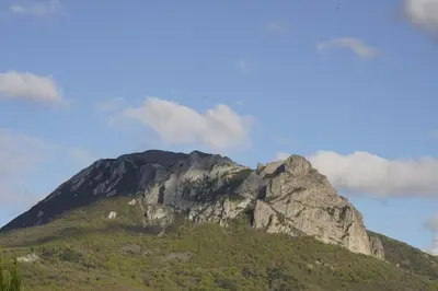 a small wooden shed in a field of grass at Roulotte pour amoureux de la nature in Bugarach