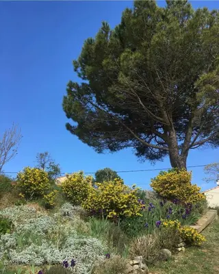 a stack of rocks sitting on top of a yard at Les gîtes du Canal du midi - Gîte Bois & Cailloux in Montgaillard-Lauragais