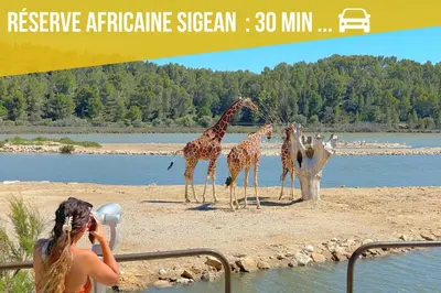 a group of giraffes standing on a beach near water at Au cœur du village de Gruissan in Gruissan