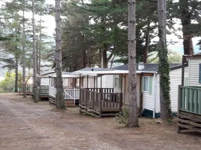 a row of cottages in the woods with trees at Chalet confortable avec terrasse à Sournia - API-1-52-491 in Sournia