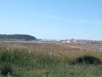 a field of grass next to a body of water at Apartment Gruissan Port-5 by Interhome in Gruissan