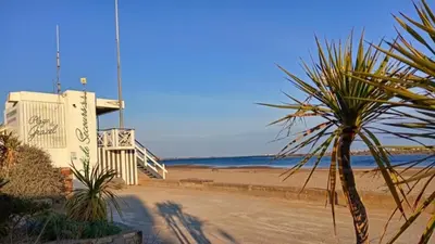 a palm tree in front of a beach with the ocean at Joli appartement climatisé résidence avec piscine et plage du Grazel à 180m in Gruissan