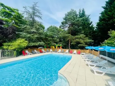a swimming pool with chairs and umbrellas at Chalet Confort 6 Pers - Terrasse - API-1-52-1032 in Camon