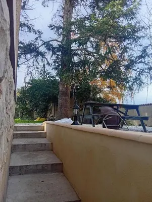 a set of stairs with a table and a tree at Grand logement en souplex entier in Castres
