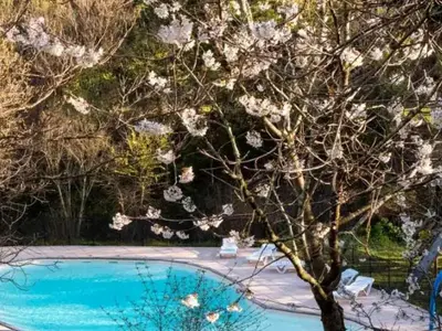 a tree with white flowers next to a swimming pool at Mobil home 6 pers avec terrasse à Fenouillet - API-1-52-314 in Fenouillet