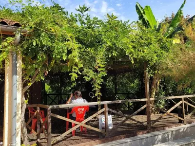 a woman sitting on a fence next to a tree at Mobil-Home Confort 4 Pers. à Pamiers - API-1-52-1960 in Pamiers