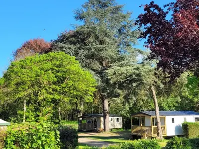 a large tree in front of a white house at Mobil-home cosy pour 2 à Pamiers - API-1-52-1959 in Pamiers