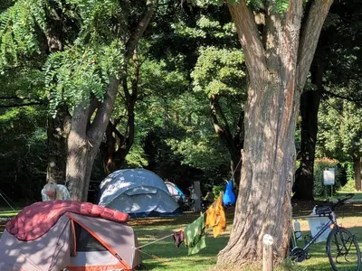 a group of tents in a park next to trees at Chalet 6 pers avec Terrasse & Jardin - API-1-52-1952 in Pamiers