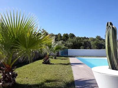 a backyard with a pool and some plants and a cactus at location Phoebé dans la propriété Elaia in Tourouzelle