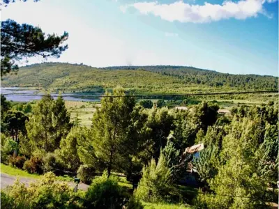a view of a field with trees and a mountain at Villa in Pouzols with Private Pool & Vineyards in Pouzols-Minervois