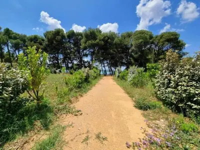a dirt road in a field with trees at Villa in Olonzac with Pool near Lac du Jouarres in Olonzac