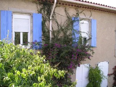 a building with blue shuttered windows and purple flowers at GITE PAPY ALBERT in Gruissan