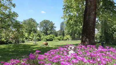 a dog sitting in the middle of a field of flowers at Domaine de Rasigous in Saint-Affrique-les-Montagnes