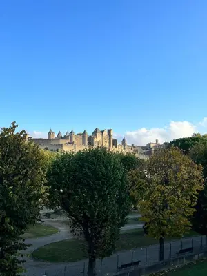 a view of a city from a park with trees at La Dolce Vita in Carcassonne