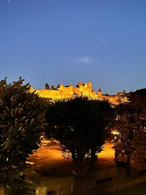 a view of a castle at night with trees at L’UNDERGROUND Studio Hyper-Centre in Carcassonne