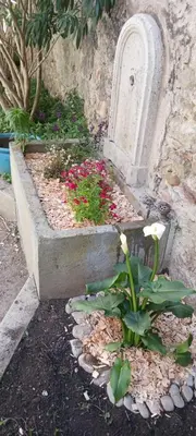 a garden with flowers and a gravestone next to a grave at Le 9 de Cour, Chambre Kiwi in Carcassonne