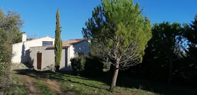 a small white house with a tree in front of it at Les romarins in Saint-Jean-de-Minervois