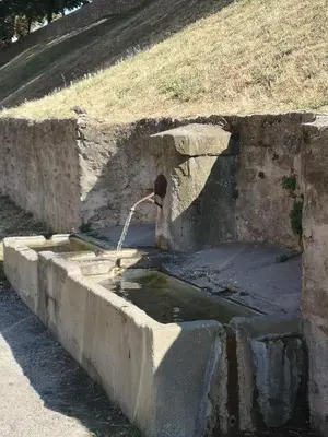 a bird is drinking water from a fountain at A 200 mètres du château : maison de ville in Carcassonne