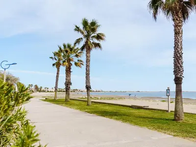 a sidewalk next to a beach with palm trees at Appartement à Gruissan avec Piscine - 4 Pers. - FR-1-409A-8 in Narbonne