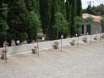 a row of potted plants on poles in front of a wall at Marrakech Guest Room in the heart of the vineyard in Badens